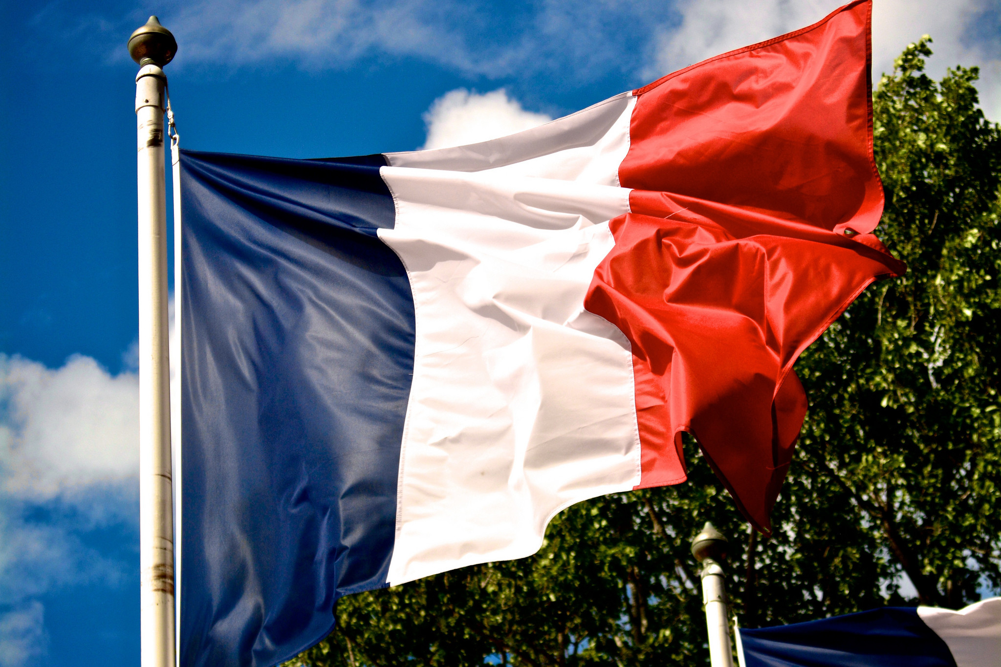 Front National, sans gêne