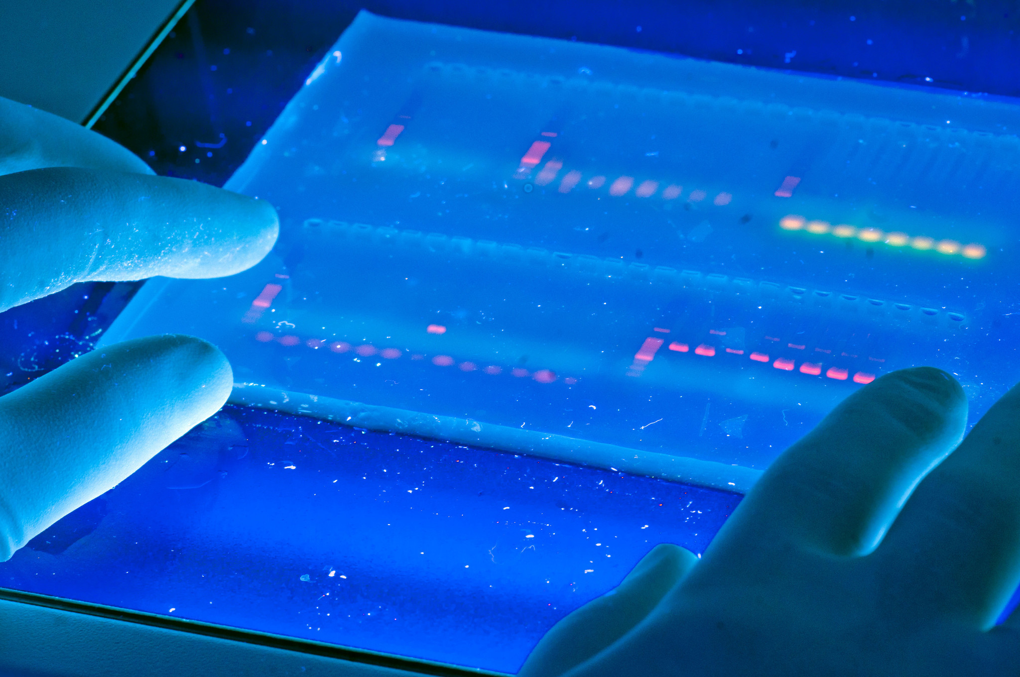 Mag je het DNA van menselijke embryo’s veranderen?
