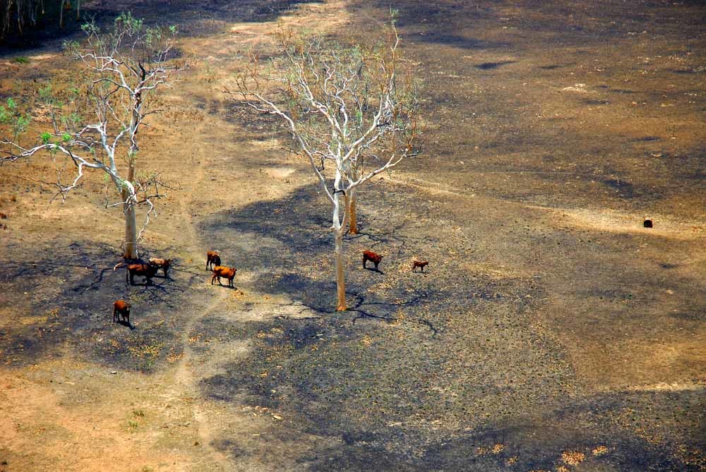 Satelliet neemt werk cowboys over