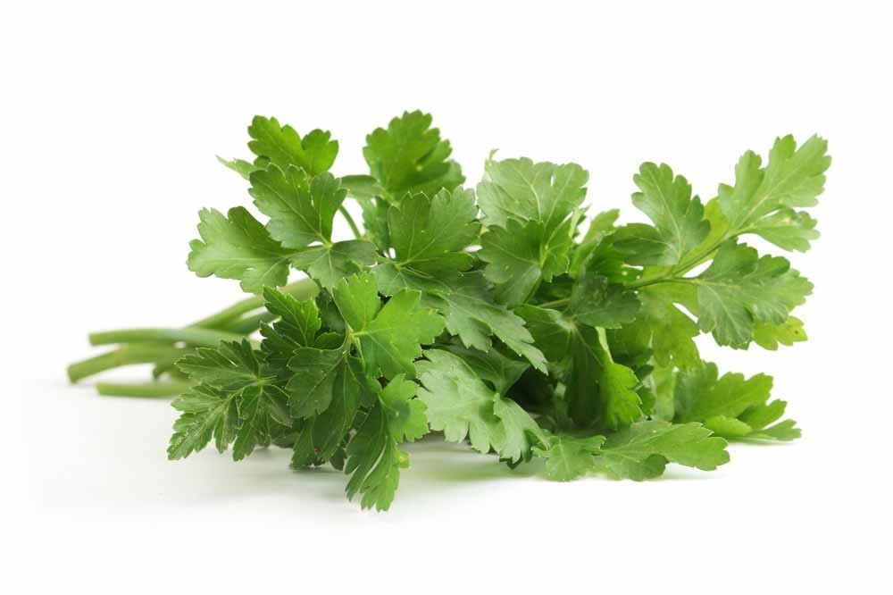 Waarom kruiden smaken zoals ze smaken