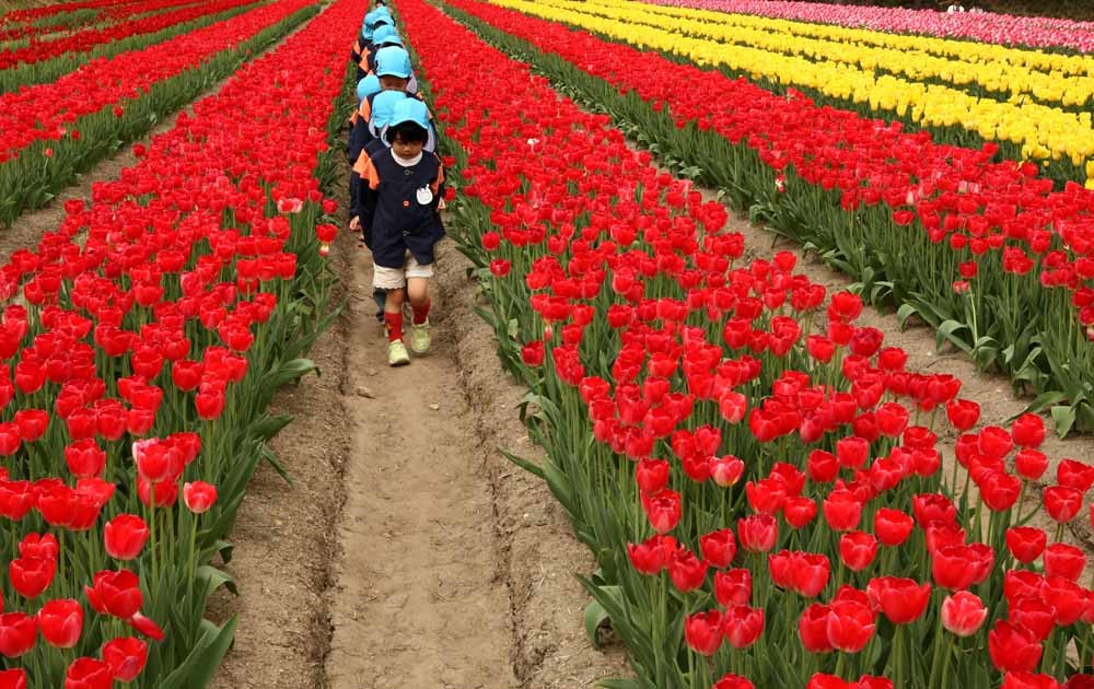 Japanse moeders eisen kinderopvang Japanse moeders eisen kinderopvang