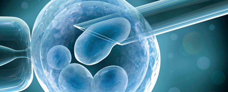 Verenigde Staten: Trump ondertekent decreet om de kosten van IVF te verlagen Verenigde Staten: Trump ondertekent decreet om de kosten van IVF te verlagen