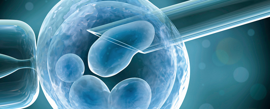 Verenigde Staten: Trump ondertekent decreet om de kosten van IVF te verlagen