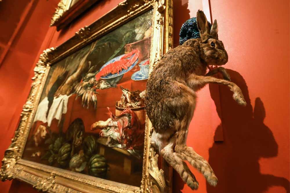 Jan Fabre schudt Hermitage op