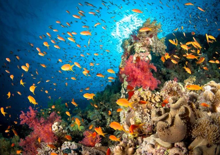 Milieuschade meten? Luister naar de oceaan