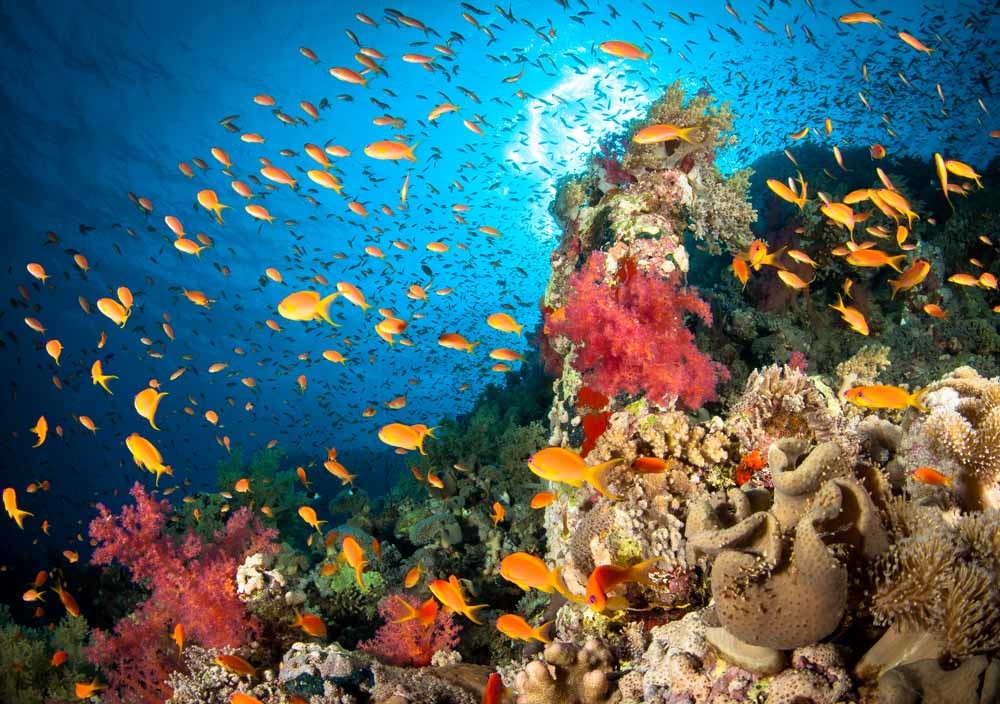 Milieuschade meten? Luister naar de oceaan