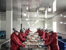 2. Een steeds geïsoleerder regime