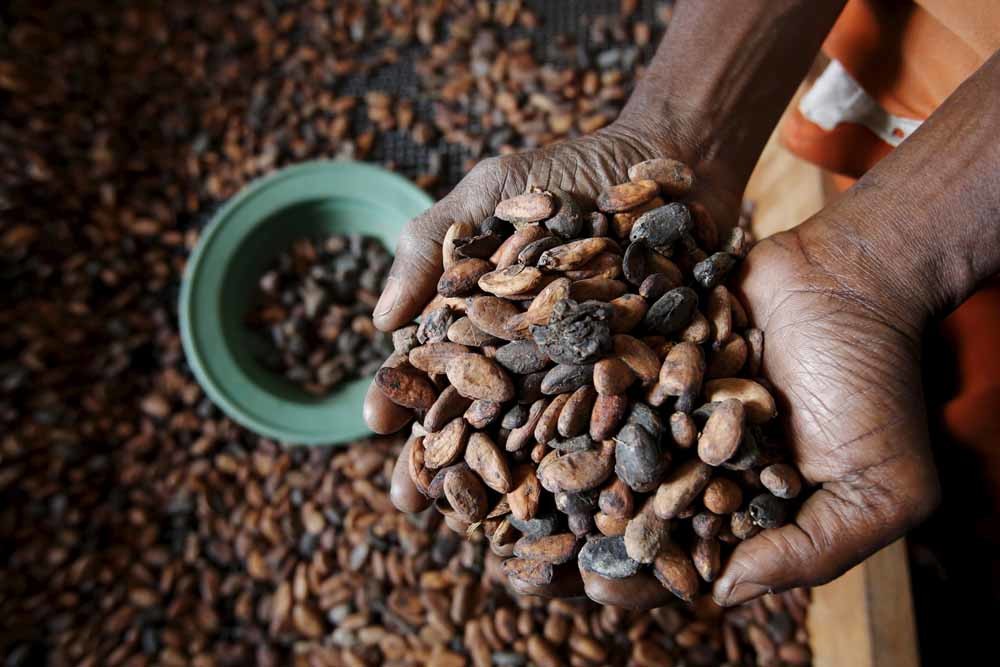 Afrikaan moet aan reep, truffel en bonbon