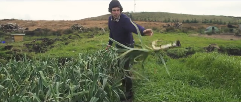 Video: Van surfer tot bioboer
