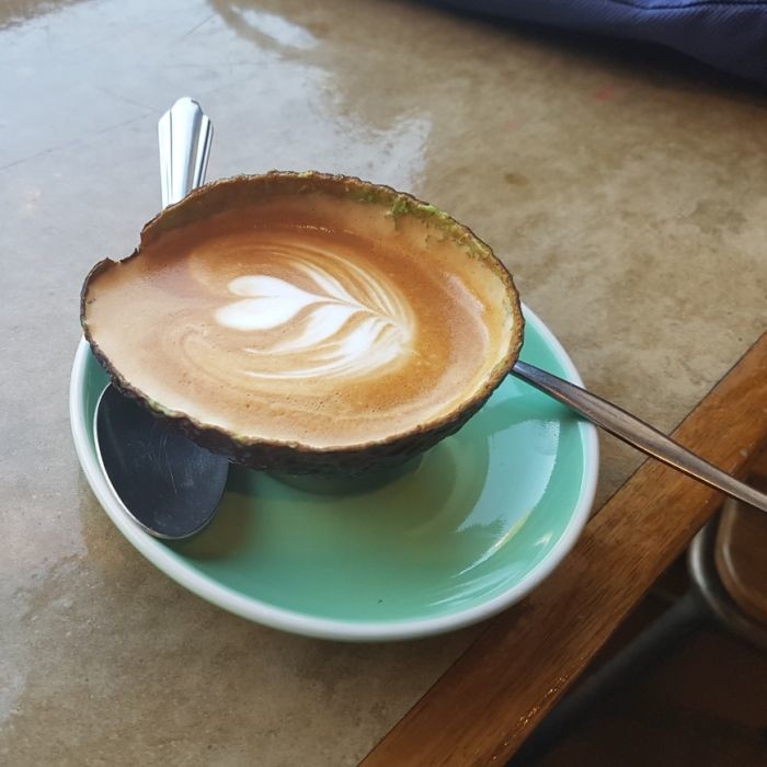 avolatte