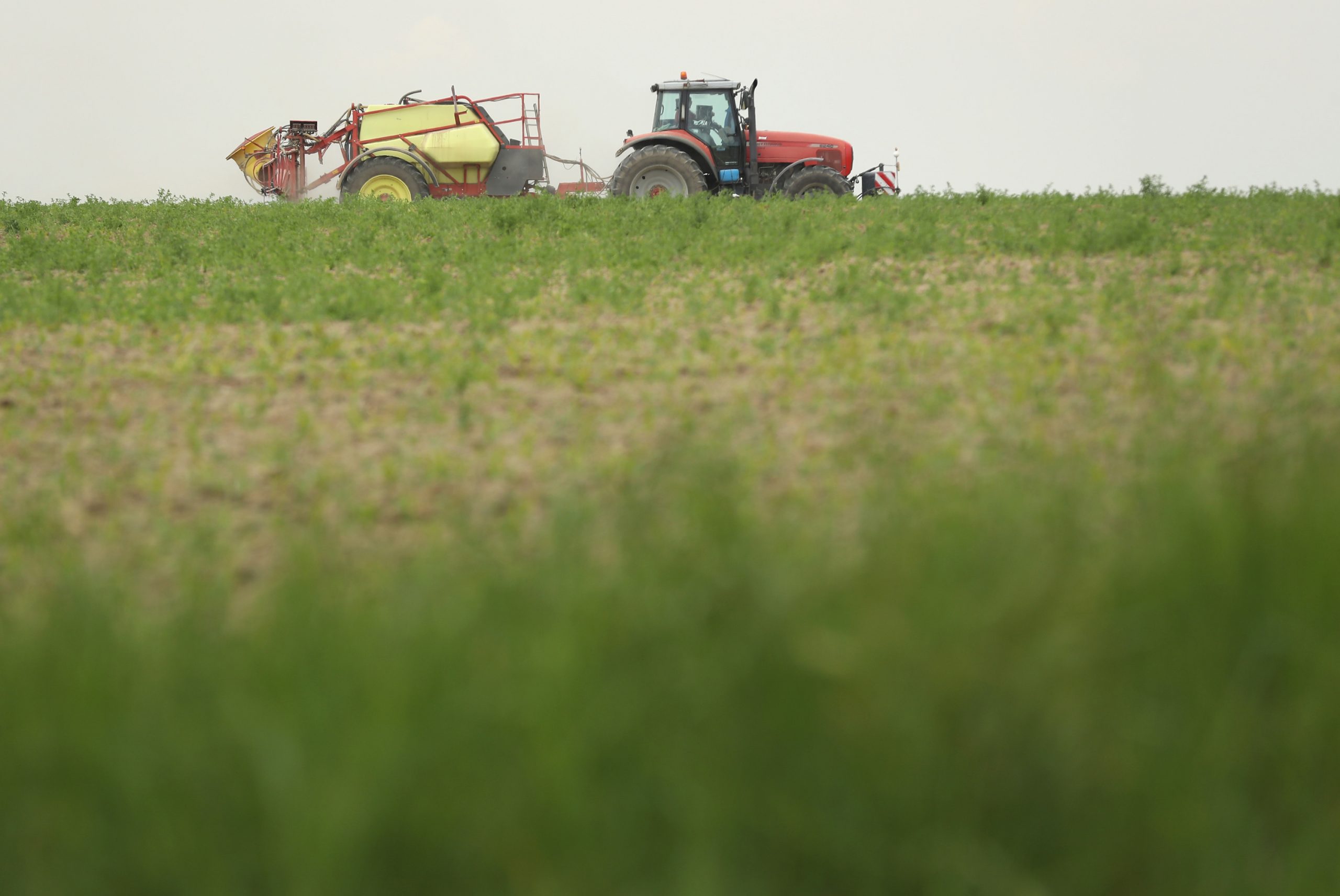 de monsanto papers scaled
