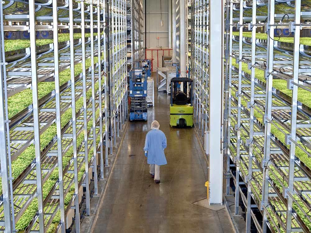 Kan de aarde 10.000.000.000 mensen voeden?