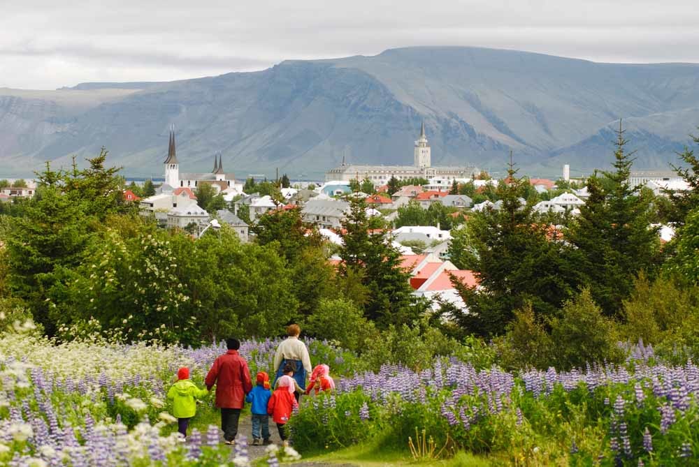 IJslands invasieve alfaplant