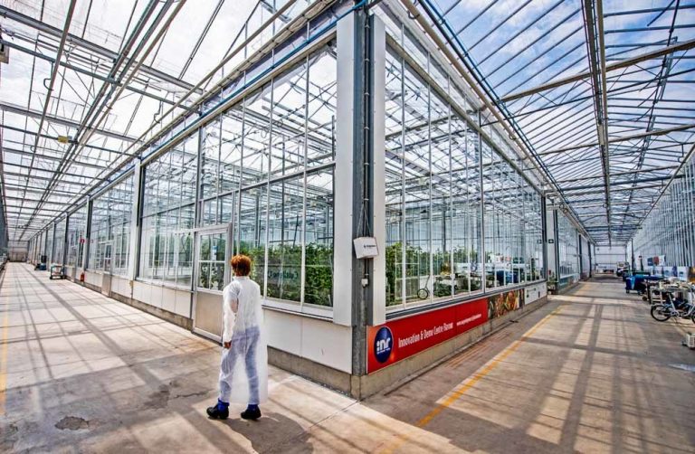 Wageningen is klaar voor de voedselrevolutie