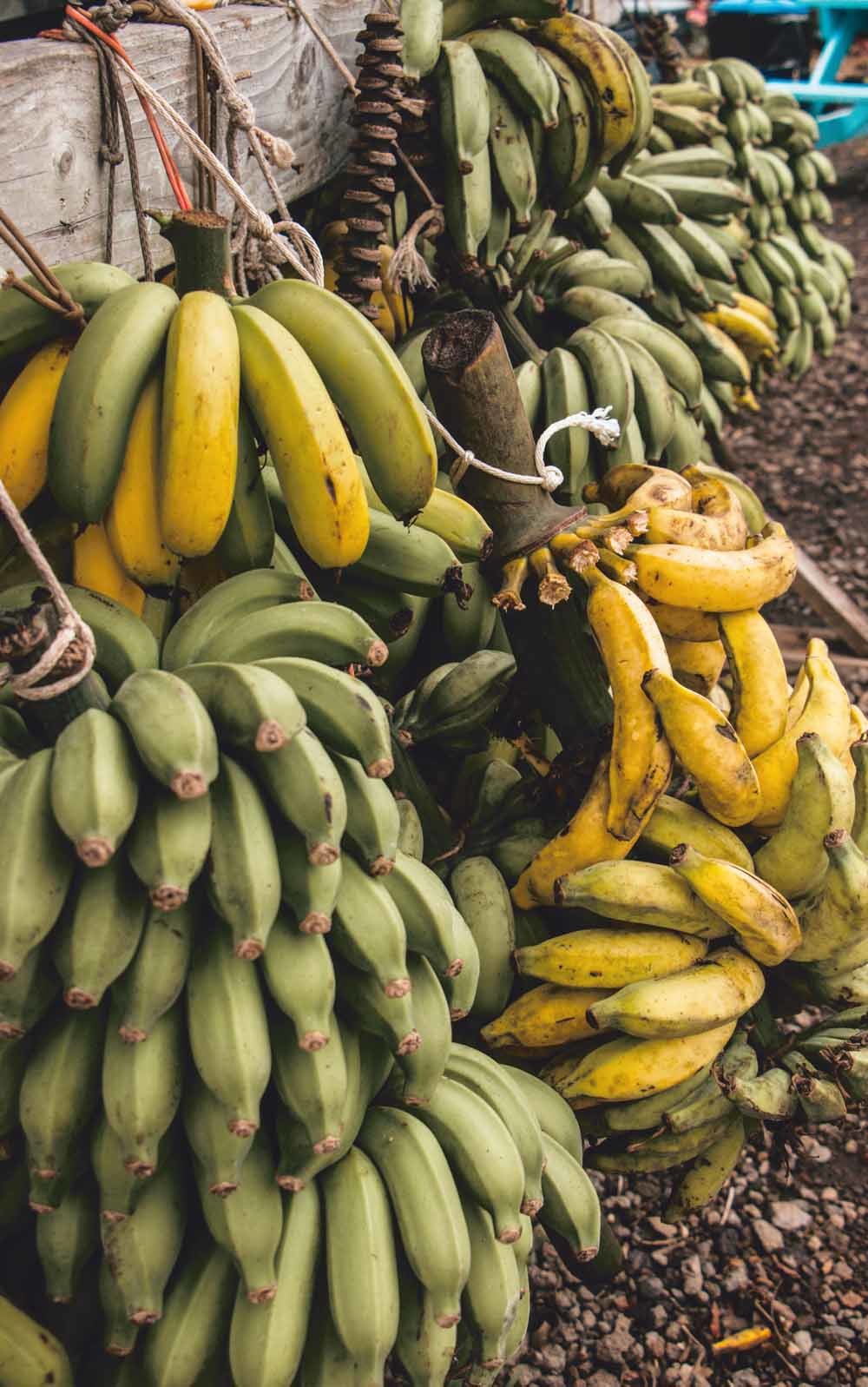 de vloek van panama