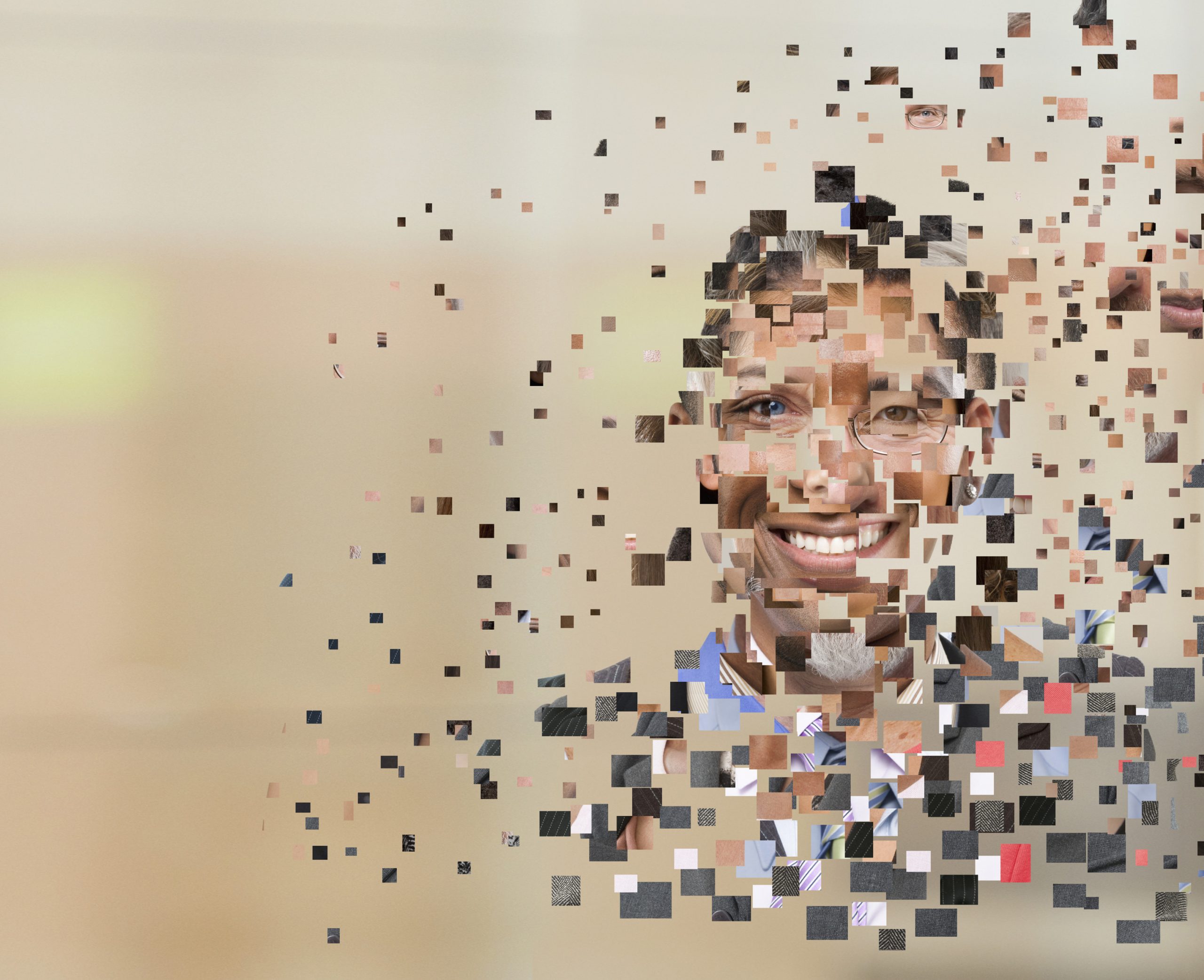 Het digitale hiernamaals