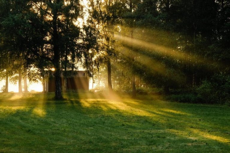 Verdwaald in het hiernamaals