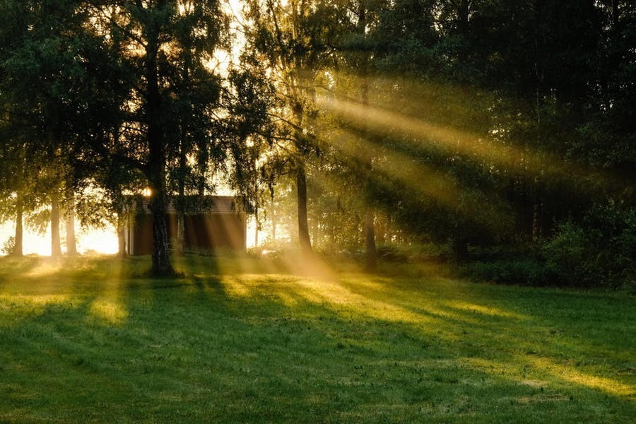 Verdwaald in het hiernamaals