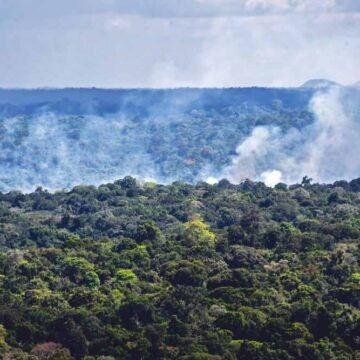 Brazilië: dit halfjaar de meeste branden geregistreerd in Amazonegebied in 20 jaar