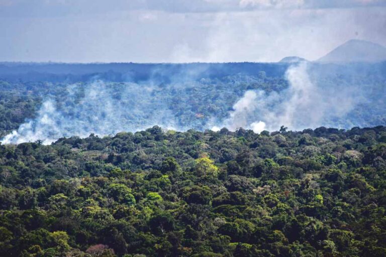 Brazilië: dit halfjaar de meeste branden geregistreerd in Amazonegebied in 20 jaar