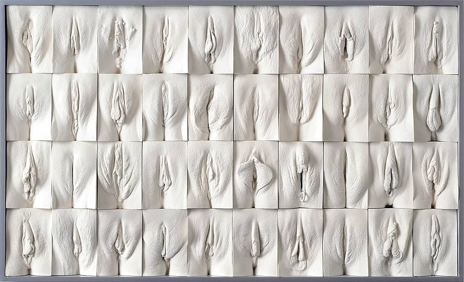 De ‘bevrijding’ van de vulva