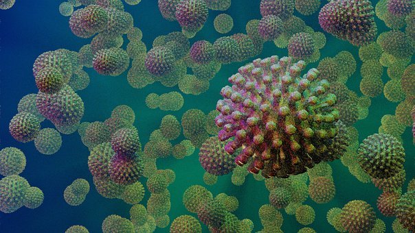Het kwam, het zag en het muteerde