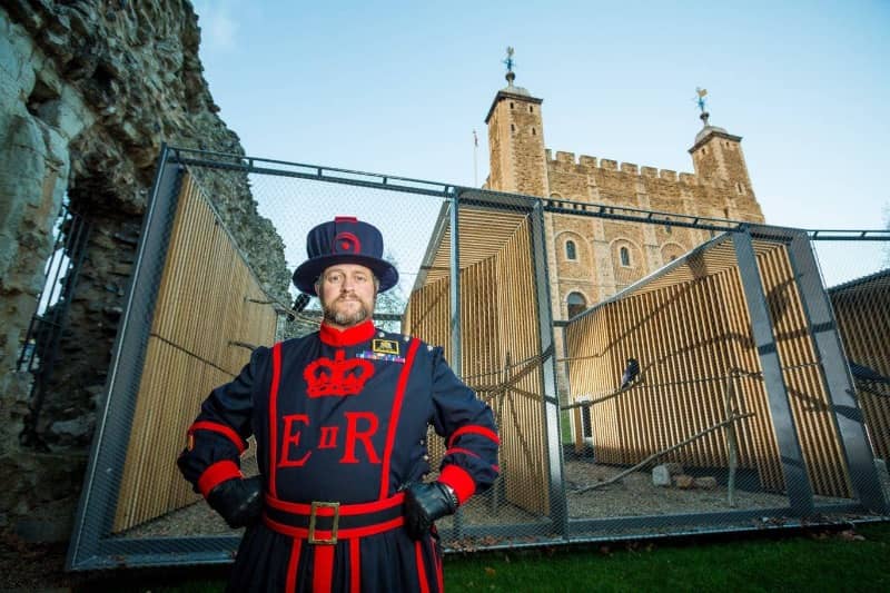 De ravenmeester van de Tower of Londen