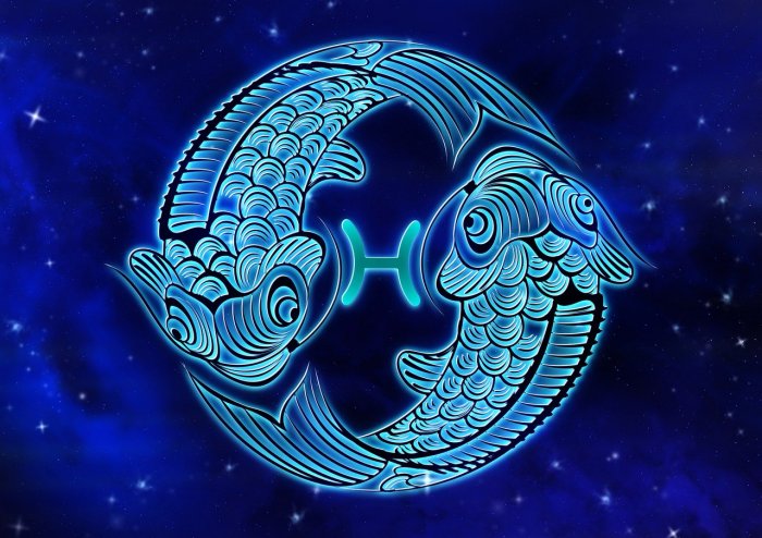 Identificeer uw equivalent van kipuka pisces 1590963265 1592524973 934772 1609705801