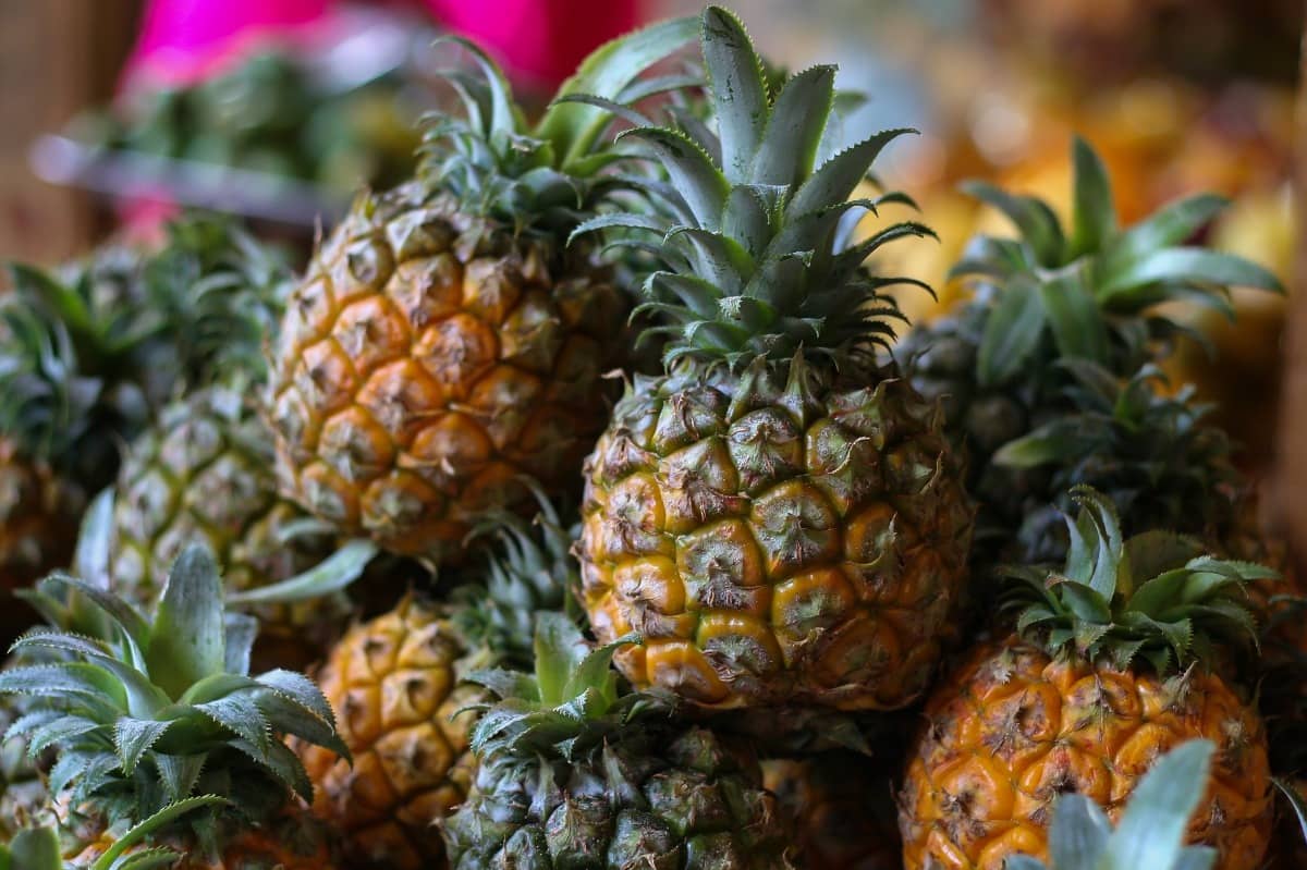 pineapple 2220704 1920 1 1