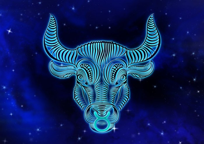 ‘Behandel je lichaam als de schat die het is’ Taurus 1590936634 1595977485