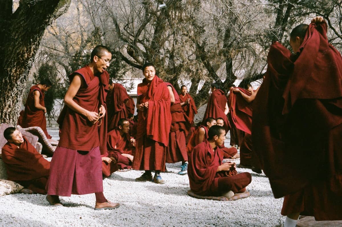 De laatste prinses van Tibet. Een voorpublicatie