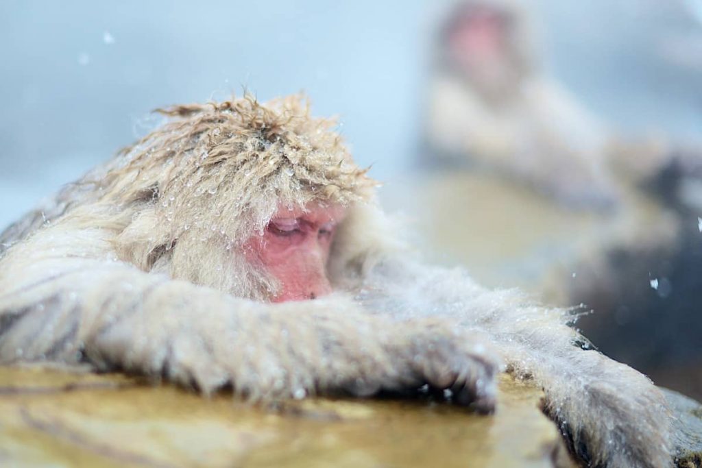 nomao saeki yuqwzT3C7yk unsplash 1
