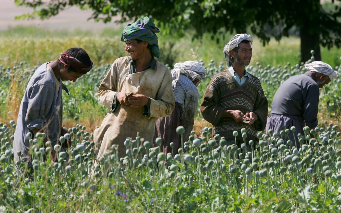 De taliban, de grootste drugshandelaren ter wereld