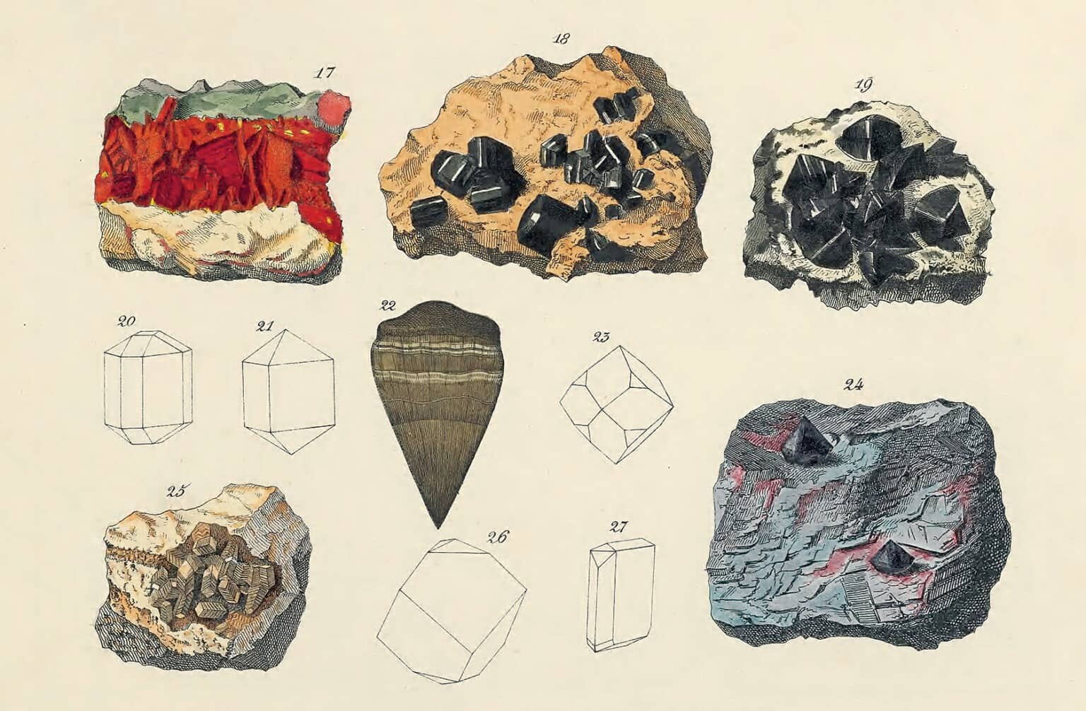Een kleurensleutel voor de natuurwereld: van mageremelkwit tot kruidnagelbruin