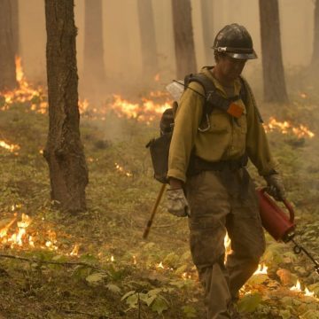 Bosbranden in West-Canada verwoesten deel van de stad Jasper