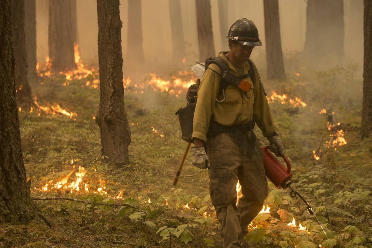 Bosbranden in West-Canada verwoesten deel van de stad Jasper forest fire 1573927419Ie4 1