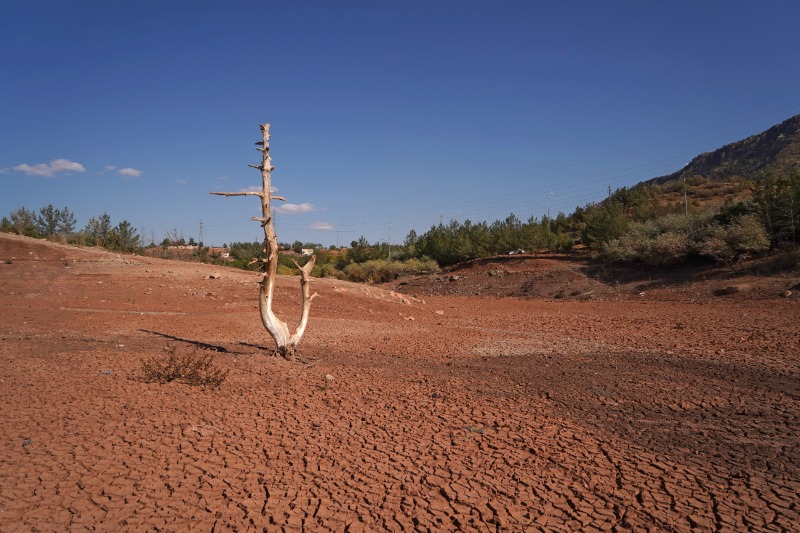 Een op de twee Iraakse gezinnen heeft voedselhulp nodig door droogte