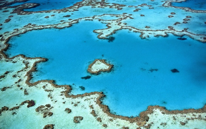 Australië belooft 1 miljard dollar om het Groot Barrièrerif te beschermen
