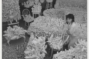 Photograph of Yayoi Kusamas Compulsion Furniture Accumulation circa 1964 Museum Boijmans Van Beuningen