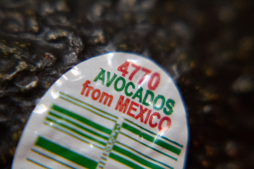 VS hebben avocado-import uit Mexico stopgezet