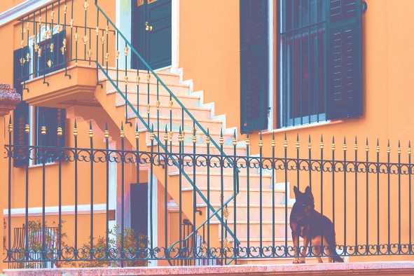 kenan suleymanoglu LCOxe a kK8 unsplash