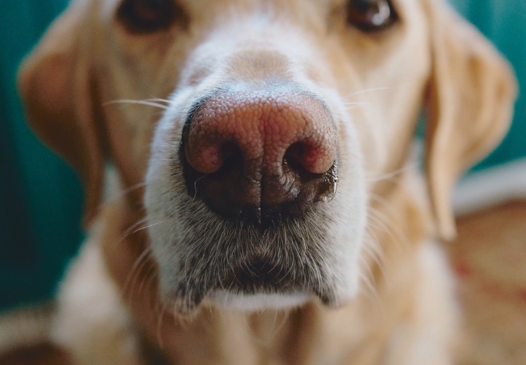 lucas ludwig RTG5GeI6aQ0 unsplash kopie