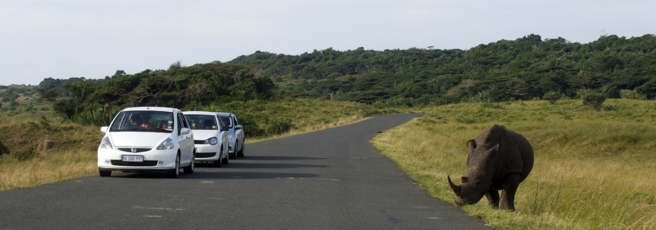 Zuid-Afrika: beschermd natuurgebied bestormd voor landbouwgrond