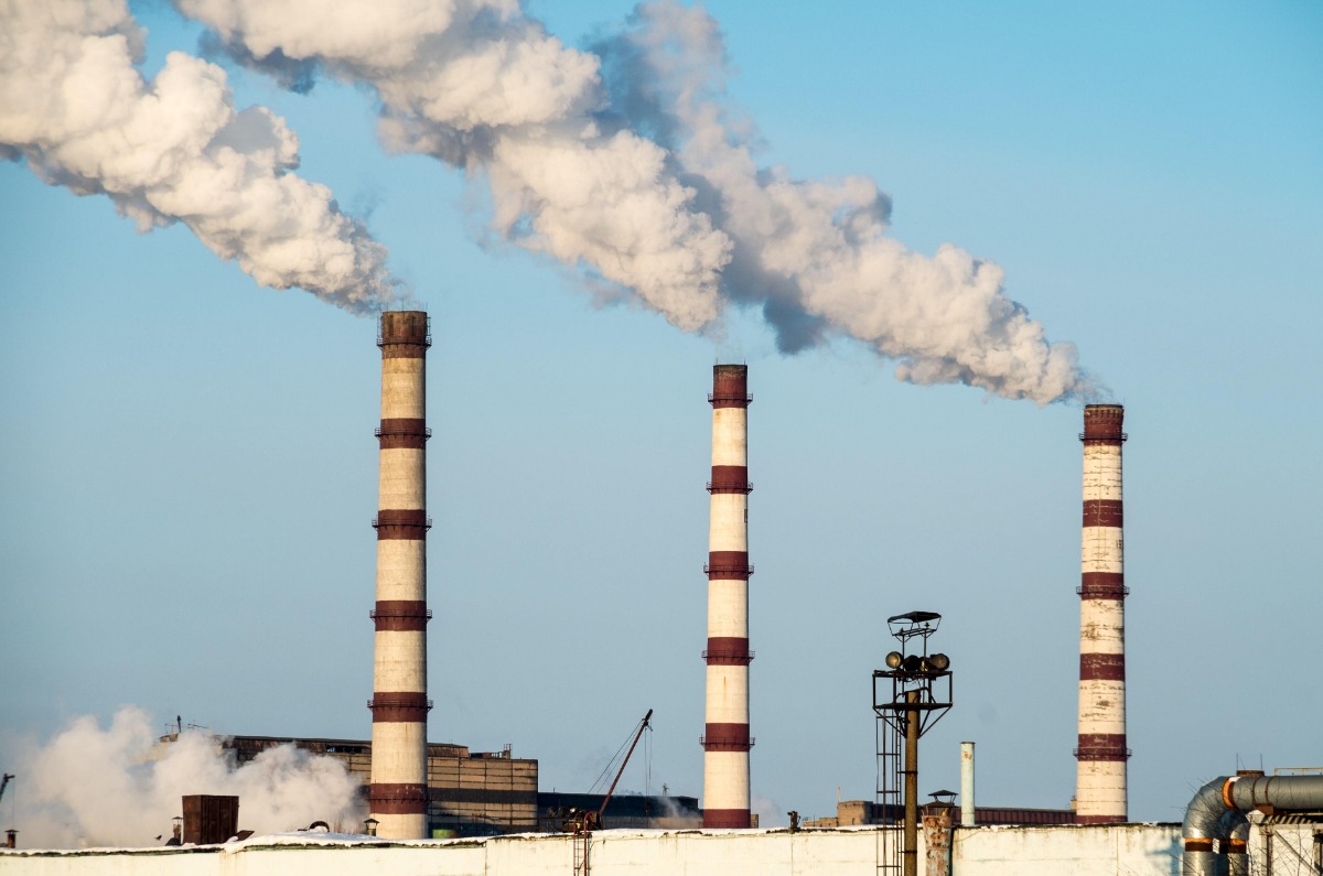 Zeven jaar rundvlees eten, vier maanden autorijden – zo ziet een ton CO2 eruit