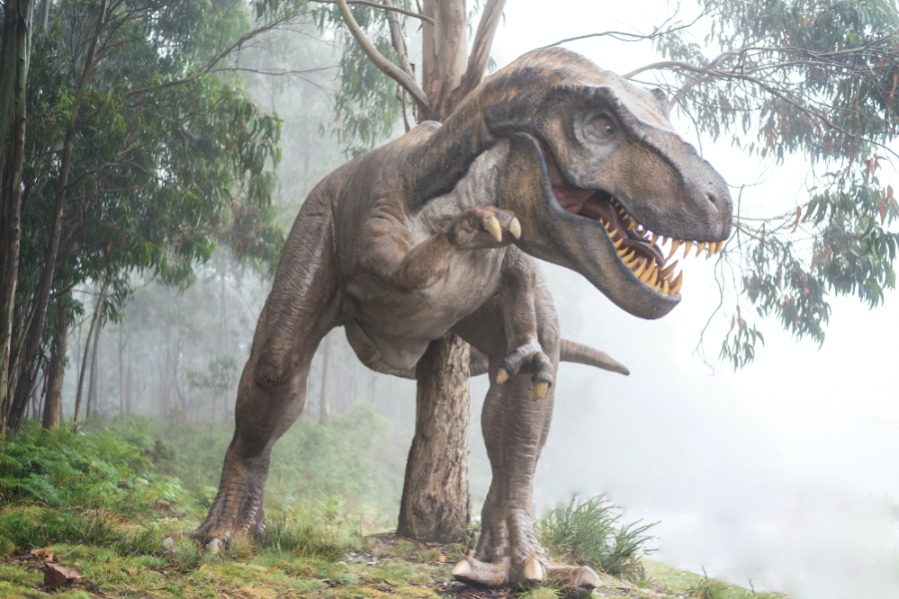 Zouden wetenschappers dino’s, dodo’s en mammoeten weer tot leven kunnen wekken?