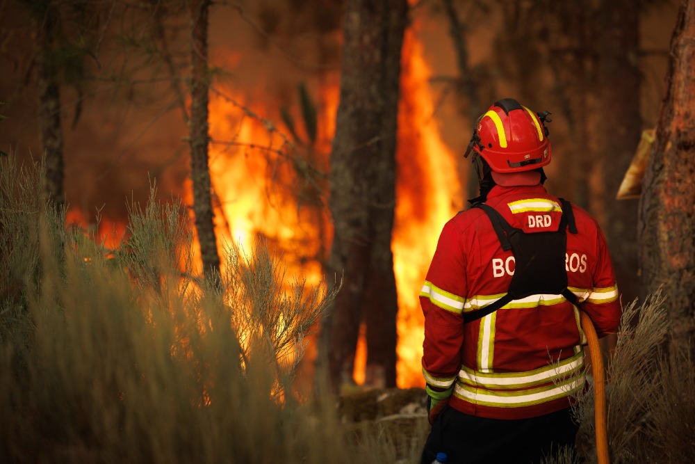 Portugal: minister waarschuwt de bevolking voor een ‘vreselijke zomer’