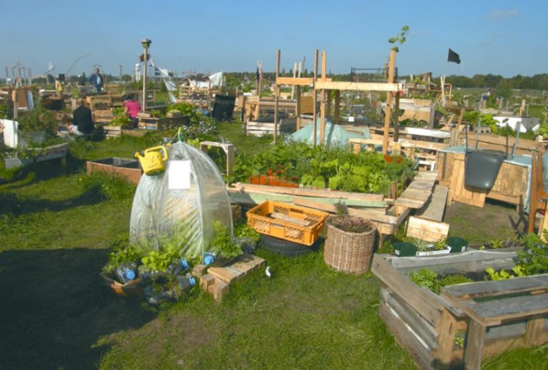 Hoe volkstuiniers de natuur kunnen redden (en ons nader tot elkaar kunnen brengen) Hoe volkstuiniers de natuur kunnen redden (en ons nader tot elkaar kunnen brengen)