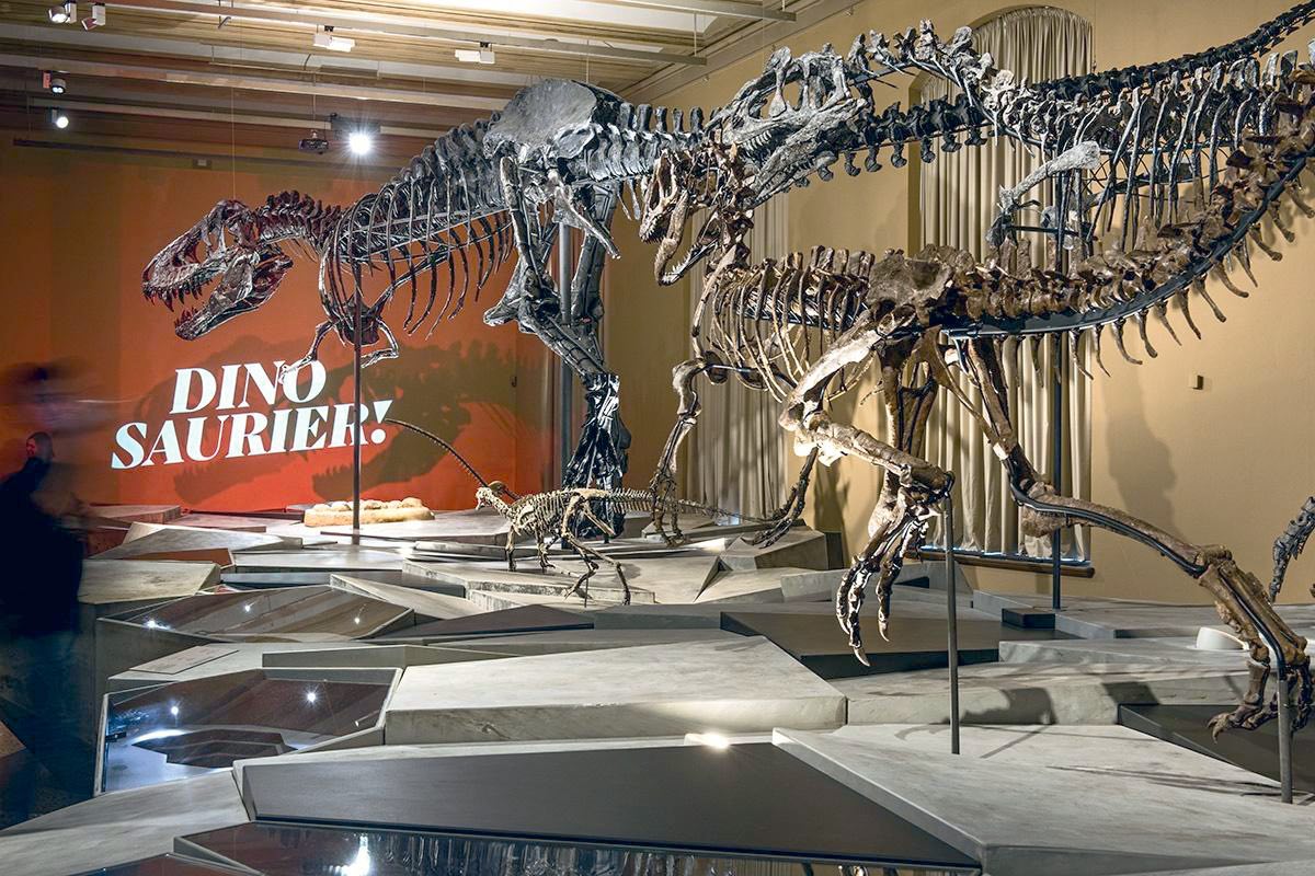 Wereldnieuws: Vastgelijmd aan dinosaurus & Meer