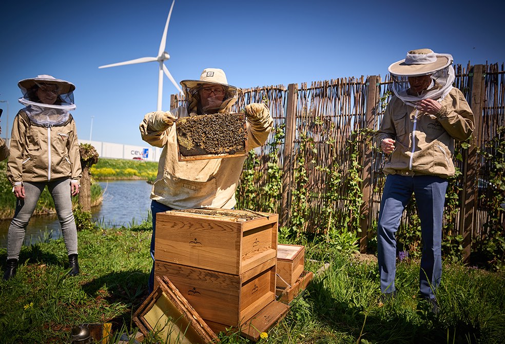Hoe Nederland een uniek lustoord is voor bestuivende insecten Hoe Nederland een uniek lustoord is voor bestuivende insecten