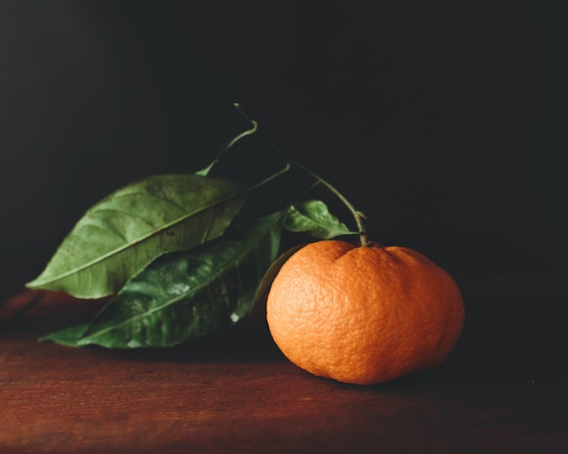 mollie wetta agP9RgnWZAY unsplash
